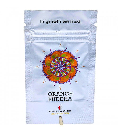 Graines de collection CBD Orange Buddha - Sativa Creations