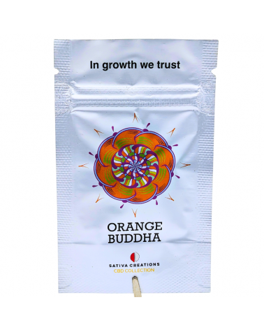 Graines de collection CBD Orange Buddha - Sativa Creations