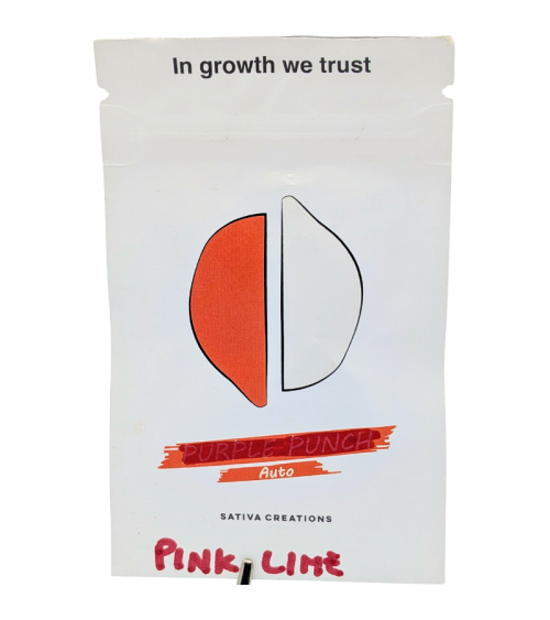 Graines de collection Pink Lime Auto - Sativa Creations