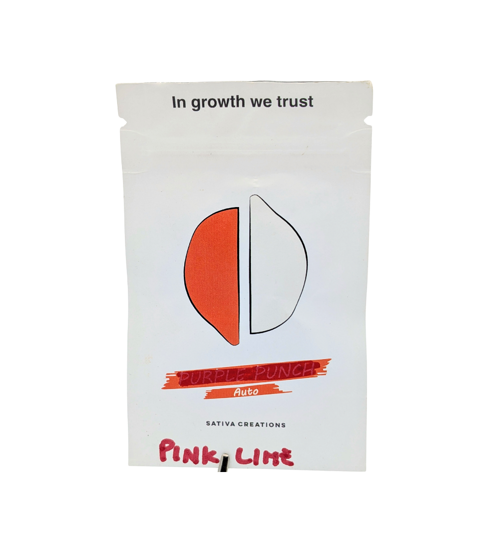 Graines de collection Pink Lime Auto - Sativa Creations