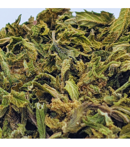 Cannatonic CBD Trim  - La Vilaine Graine