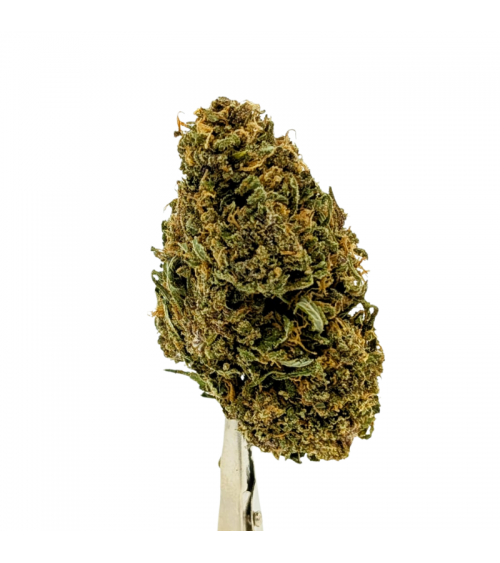Blue Meringue CBD - La Vilaine Graine