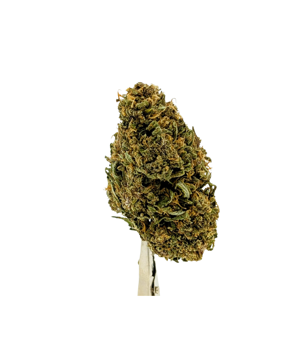 Blue Meringue CBD - La Vilaine Graine
