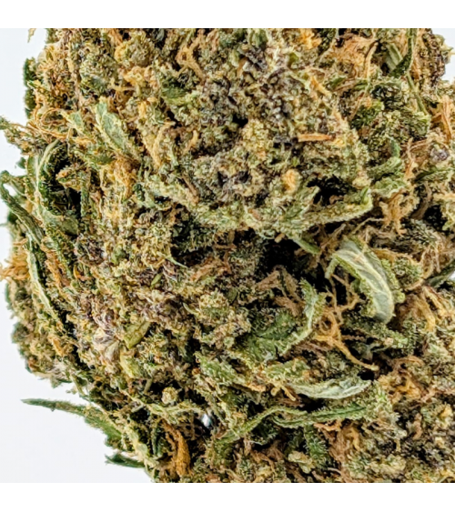 Blue Meringue CBD - La Vilaine Graine