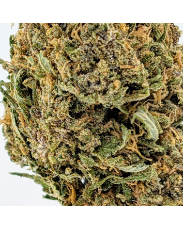 Blue Meringue CBD - La Vilaine Graine