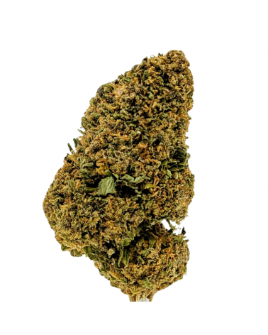Sapphire Kush CBD - La Vilaine Graine