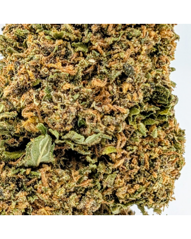 Sapphire Kush CBD - La Vilaine Graine