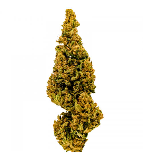 Fleur CBD Lulu La Nantaise - La Vilaine Graine