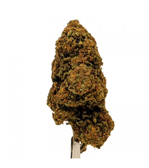 Fleur CBD Blueberry Muffin - La Vilaine Graine