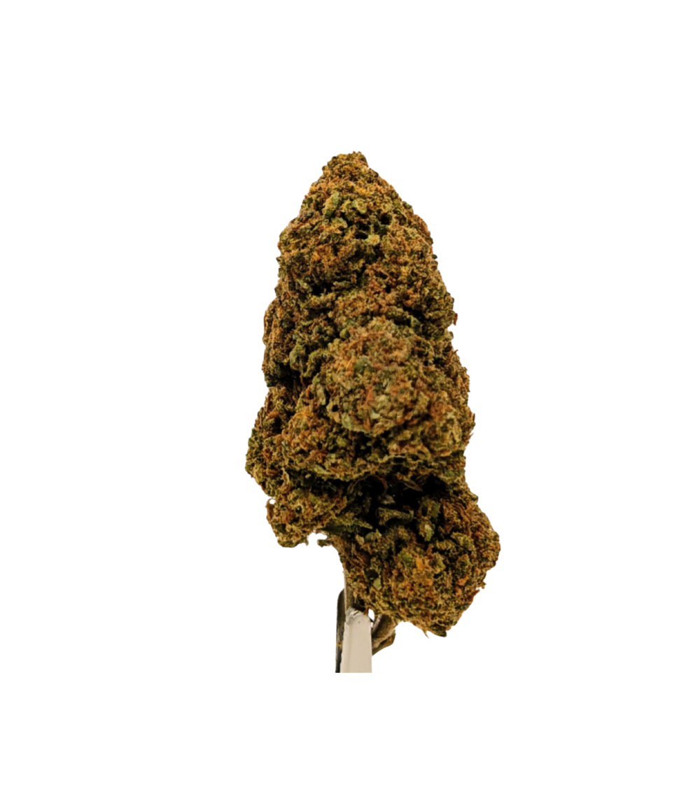 Fleur CBD Blueberry Muffin - La Vilaine Graine