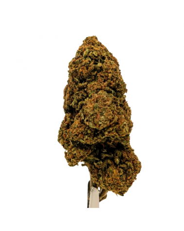 Fleur CBD Blueberry Muffin - La Vilaine Graine