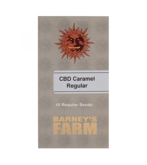 Graines de collection Barney's Farm CBD Caramel