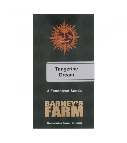 Graines de collection Barney's Farm Tangerine Dream