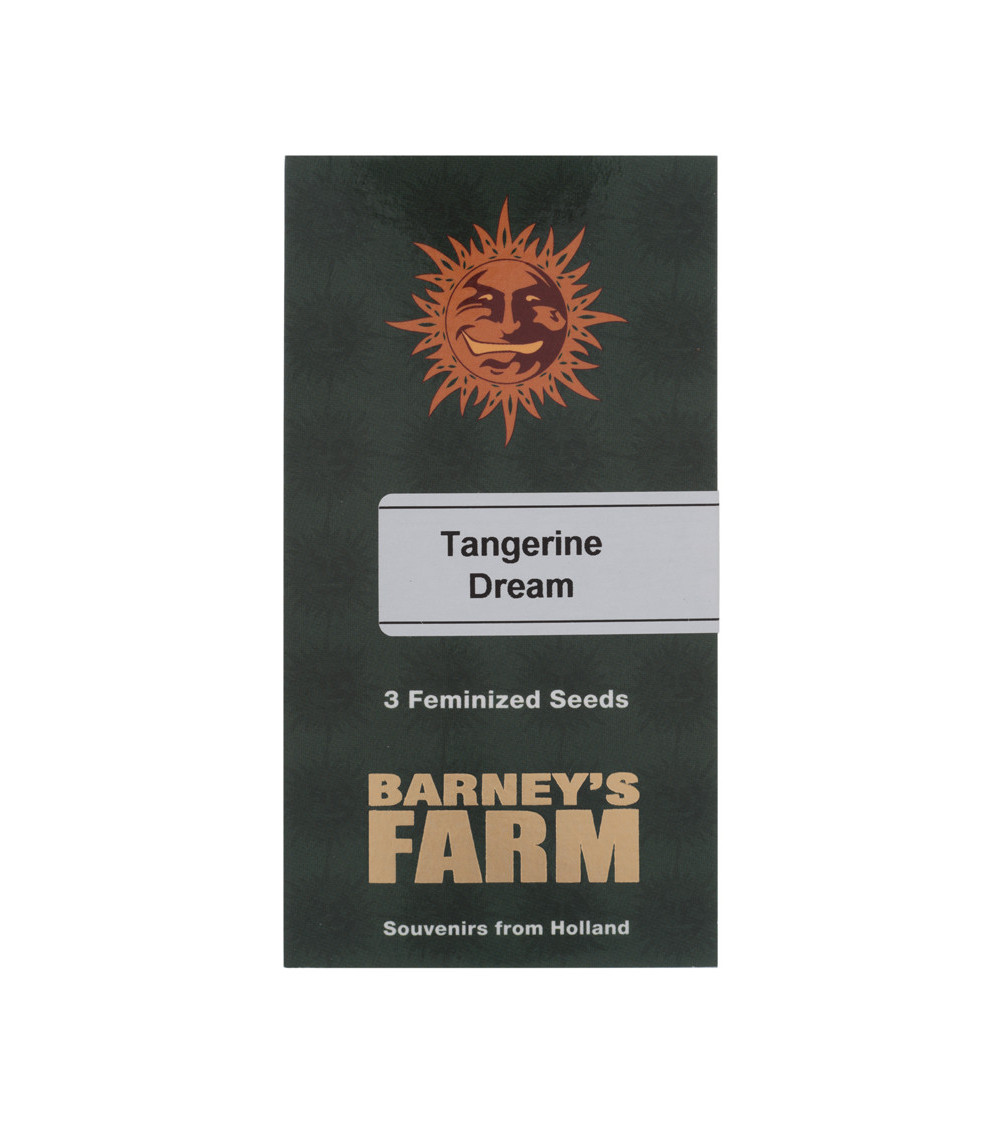Graines de collection Barney's Farm Tangerine Dream
